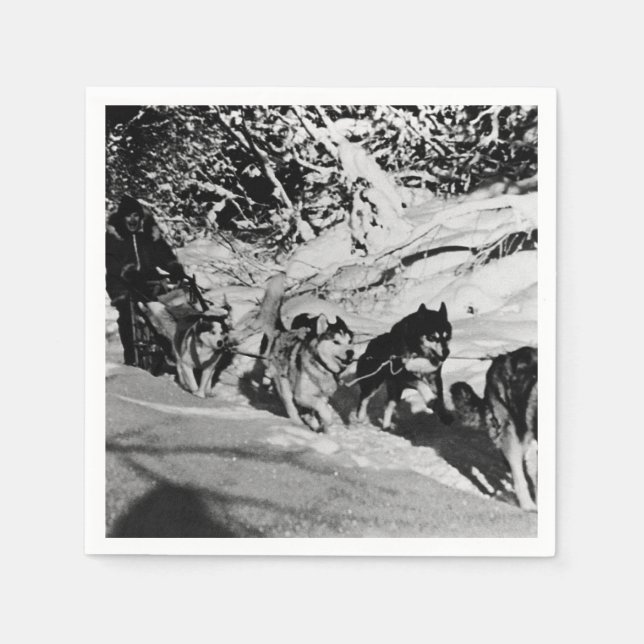 Vintage Alaska eskimo Malamute sled racing 1970 Napkin (Front)