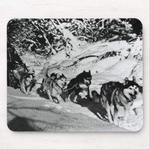 Vintage Alaska eskimo Malamute sled racing Mouse Pad