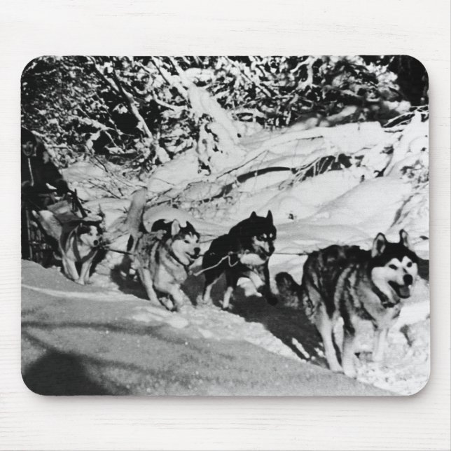 Vintage Alaska eskimo Malamute sled racing Mouse Pad (Front)