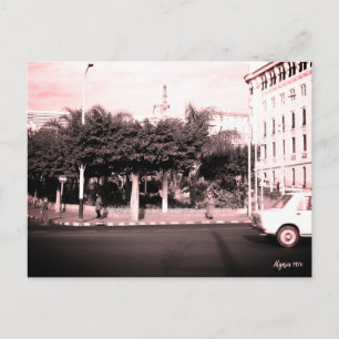Vintage Algeria Algiers cars building Postcard