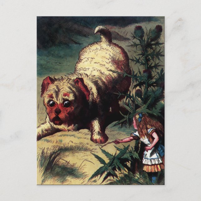 Vintage Alice in Wonderland Illustration Postcard (Front)
