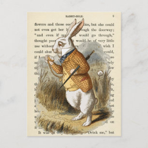 Vintage Alice in Wonderland Postcard