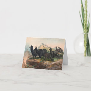 Vintage Alpacas Book Illustration Folded Note Card
