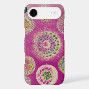 Vintage  Altered Haeckel
