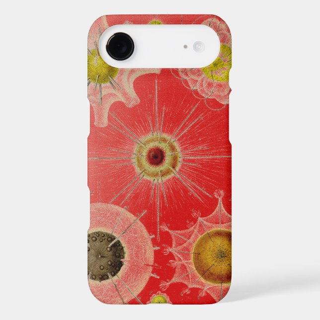 Vintage  Altered Haeckel (Back)