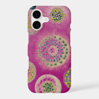 Vintage Altered Haeckel
