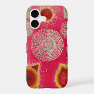 Vintage Altered Haeckel