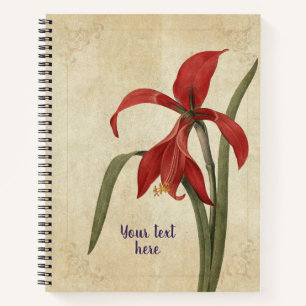 Vintage Amaryllis Notebook