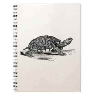 Vintage American Box Tortoise - Turtle Template Spiral Notebook