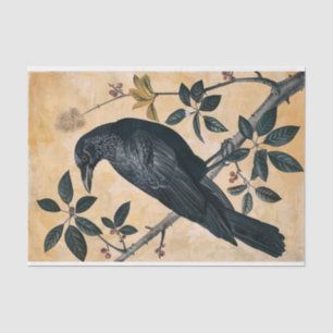 Vintage American Crow Illustration Decoupage Tissue Paper