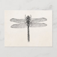 Vintage American Dragonfly Dragon Fly Template