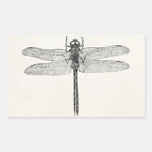 Vintage American Dragonfly Dragon Fly Template Rectangular Sticker