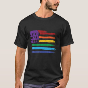 Vintage American Flag Rainbow USA Lesbian Gay LGBT T-Shirt