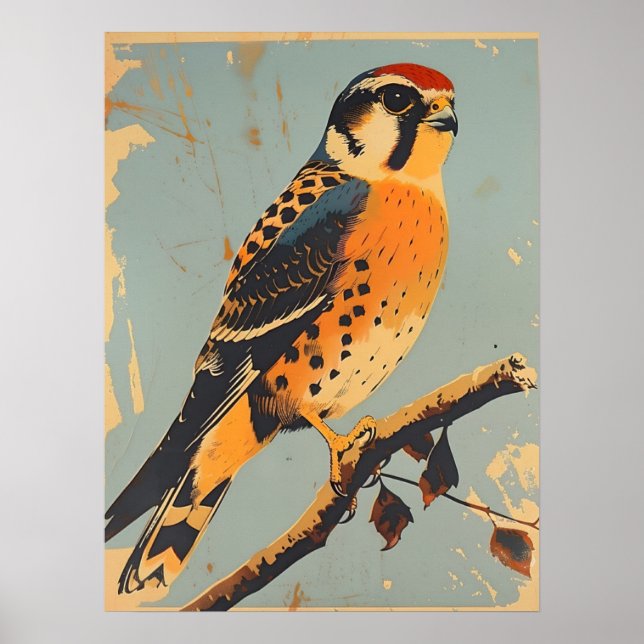Vintage American Kestrel Illustration Poster (Front)