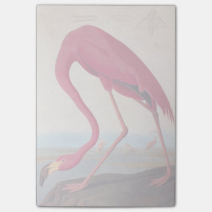 Vintage American Pink Flamingo Audubon Bookplate Post-it Notes