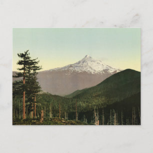 Vintage American Scenery  Postcard