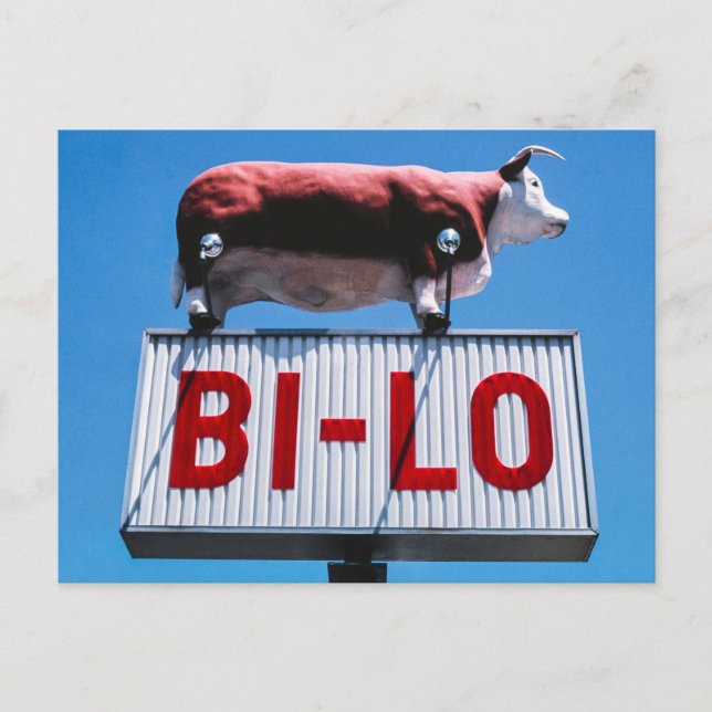 Vintage American Scenery  Postcard (Front)