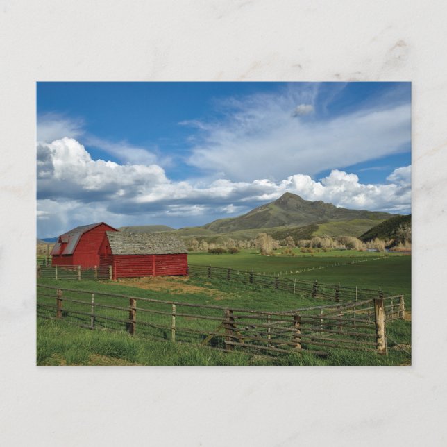 Vintage American Scenery  Postcard (Front)