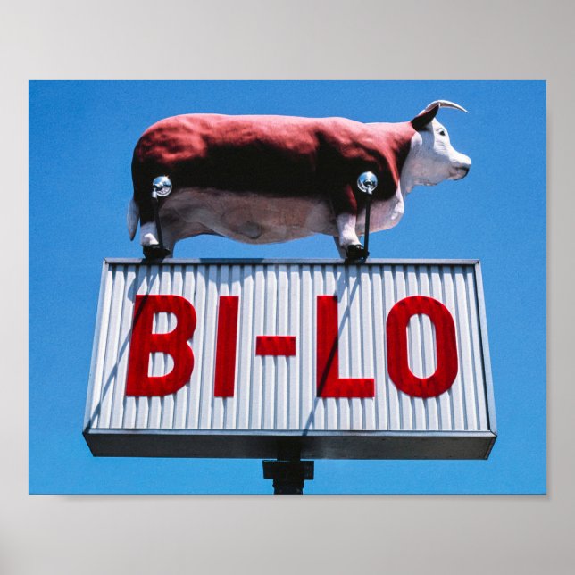 Vintage American Scenery   Poster (Front)