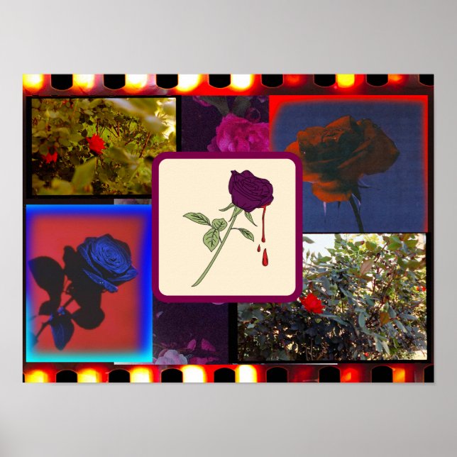 Vintage Analogue Film Rose Collage Poster (Front)
