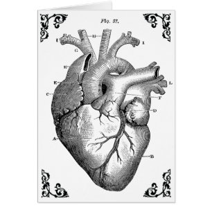 Vintage Anatomical Heart Diagram Gothic Card