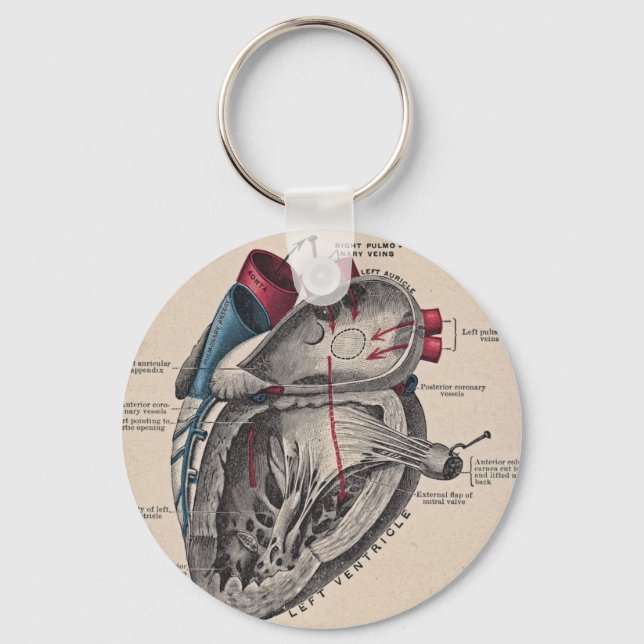 Vintage Anatomical Heart Key Ring (Front)