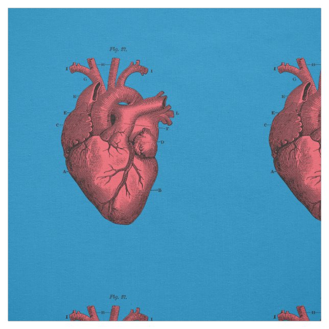 Vintage Anatomical Heart Valentine’s Day Fabric (Swatch)