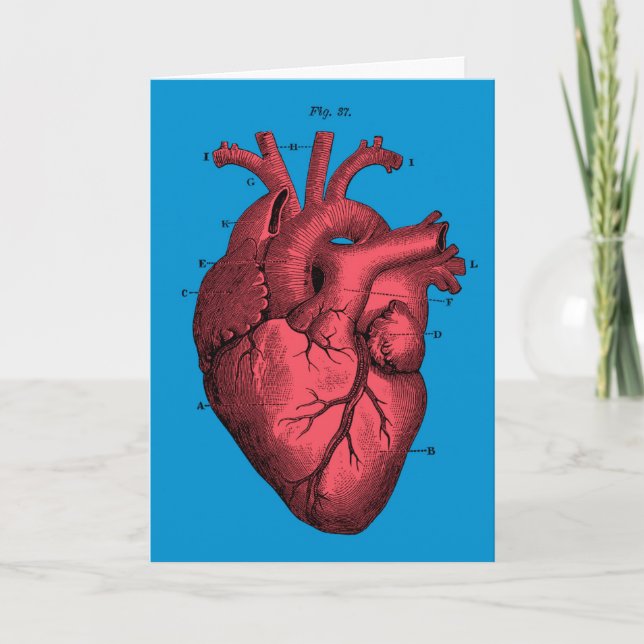 Vintage Anatomical Heart Valentine’s Day Holiday Card (Front)