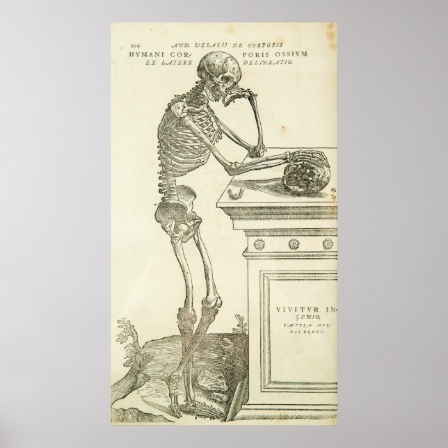 Vintage Anatomy Andreas Vesalius Skeleton Poster (Front)
