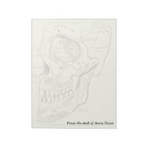 Vintage Anatomy Anterolateral region of the skull Notepad