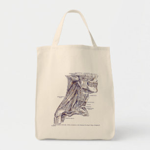 Vintage Anatomy Art Muscles of the Neck Sepia Tote Bag