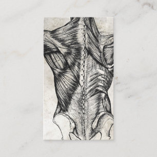 Vintage Anatomy Back Business Cards
