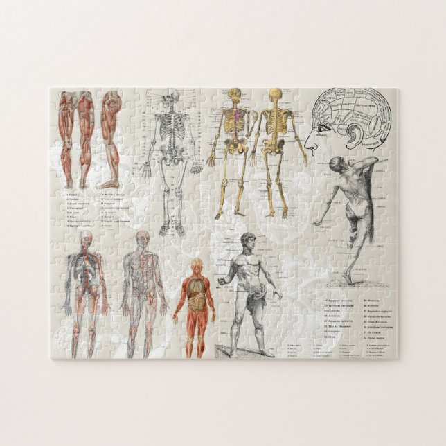 Vintage Anatomy Biology Art Collage Jigsaw Puzzle (Horizontal)