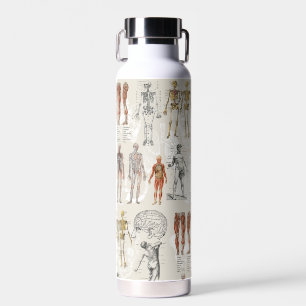 Vintage Anatomy Biology Art Collage  Water Bottle