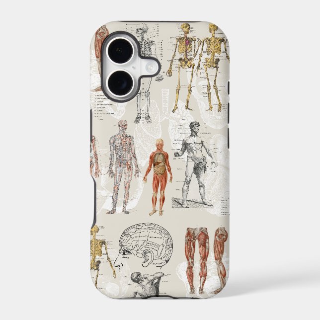 Vintage Anatomy Biology Illustrations (Back)