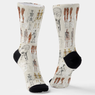 Vintage Anatomy Biology Illustrations Socks