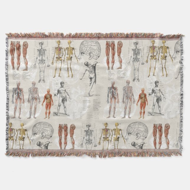 Vintage Anatomy Biology Illustrations Throw Blanket (Front)
