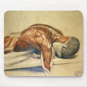 Vintage Anatomy Charles Landseer A Dissected Body Mouse Pad