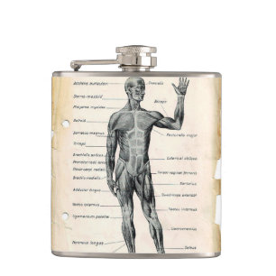 Vintage Anatomy Drawing Hip Flask