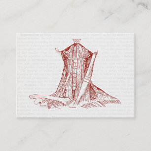 Vintage Anatomy Drawing Muscles Of The Neck Business Card