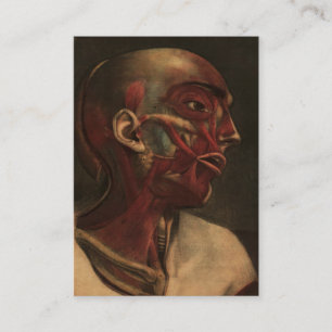 Vintage Anatomy Head, Neck, and Shoulders Business Card