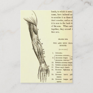 Vintage Anatomy   Muscles of the Arm  (circa 1852) Business Card