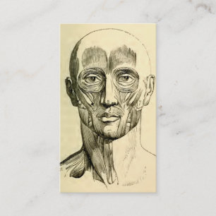 Vintage Anatomy   Muscles of the Face (circa 1852) Business Card
