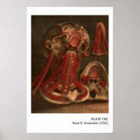 Vintage Anatomy | Neck and Face