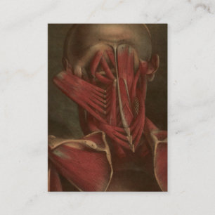 Vintage Anatomy   Neck and Shoulders Business Card