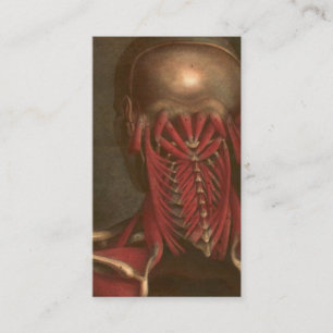 Vintage Anatomy   Neck and Shoulders Business Card