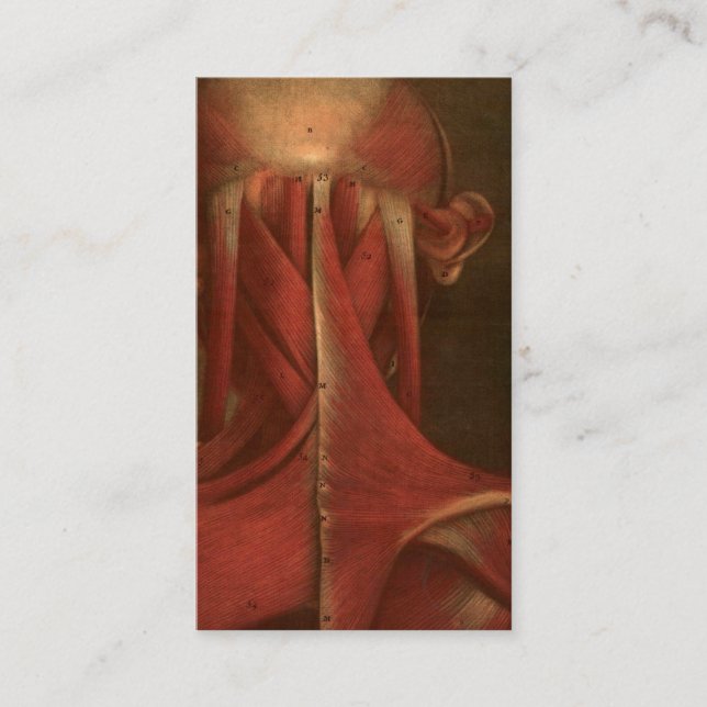 Vintage Anatomy | Neck Business Card (Front)