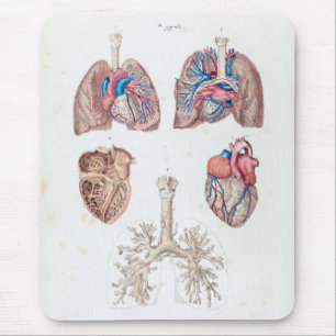 Vintage Anatomy of Human Heart and Lungs Mouse Pad