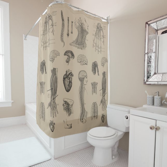 Vintage Anatomy Print Shower Curtain (In Situ)