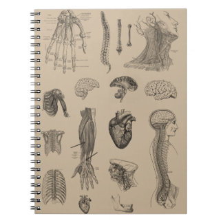 Vintage Anatomy Print Spiral Notebook